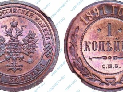 Медная монета 1 копейка 1891 года