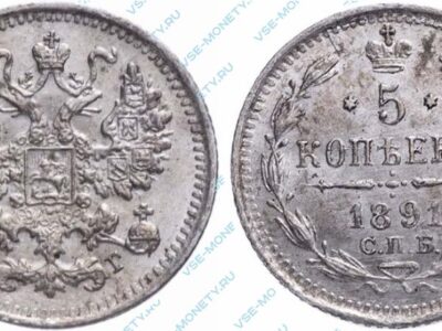 Серебряная монета 5 копеек 1891 года