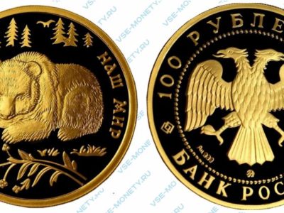 Памятная золотая монета 100 рублей 1993 года «Бурый медведь» серии «Сохраним наш мир»
