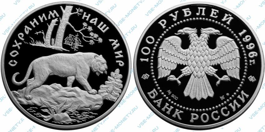 Памятная серебряная монета 100 рублей 1996 года «Амурский тигр» серии «Сохраним наш мир»