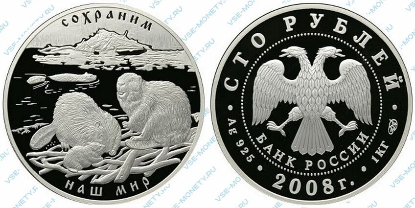 Юбилейная серебряная монета 100 рублей 2008 года «Речной бобр» серии «Сохраним наш мир»