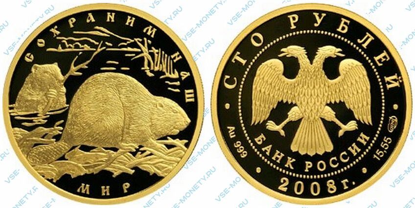 Юбилейная золотая монета 100 рублей 2008 года «Речной бобр» серии «Сохраним наш мир» в исполнении пруф (proof)