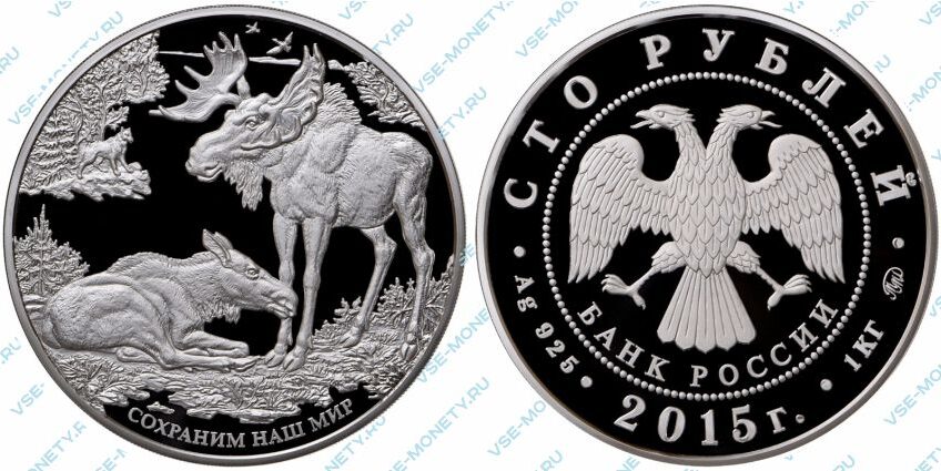 Юбилейная серебряная монета 100 рублей 2015 года «Лось» серии «Сохраним наш мир»