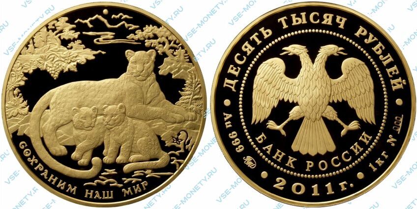 Юбилейная золотая монета 10000 рублей 2011 года «Переднеазиатский леопард» серии «Сохраним наш мир»