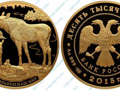 Юбилейная золотая монета 10000 рублей 2015 года «Лось» серии «Сохраним наш мир»