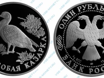 Памятная серебряная монета 1 рубль 1994 года «Краснозобая казарка» серии «Красная книга»