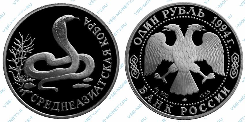 Памятная серебряная монета 1 рубль 1994 года «Среднеазиатская кобра» серии «Красная книга»