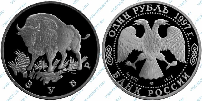 Памятная серебряная монета 1 рубль 1997 года «Зубр» серии «Красная книга»