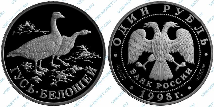 Памятная серебряная монета 1 рубль 1998 года «Гусь-белошей» серии «Красная книга»