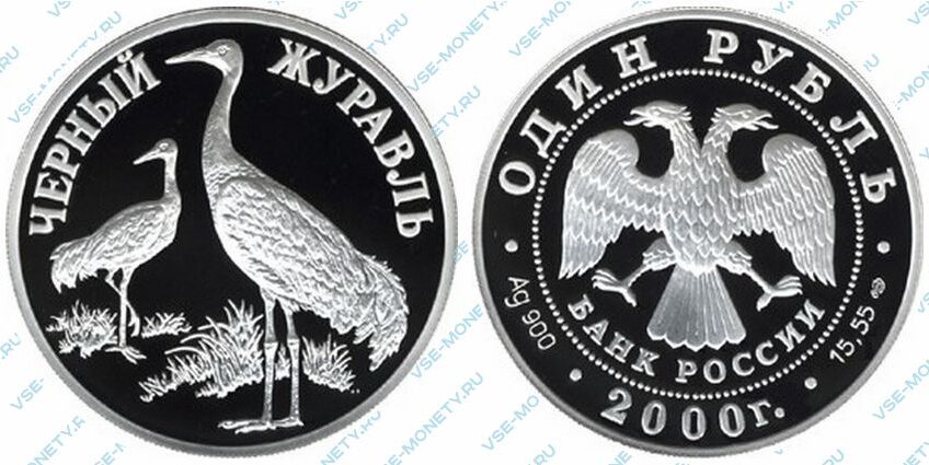Юбилейная серебряная монета 1 рубль 2000 года «Чёрный журавль» серии «Красная книга»