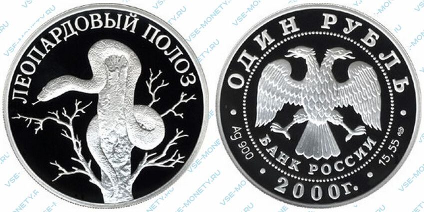 Юбилейная серебряная монета 1 рубль 2000 года «Леопардовый полоз» серии «Красная книга»