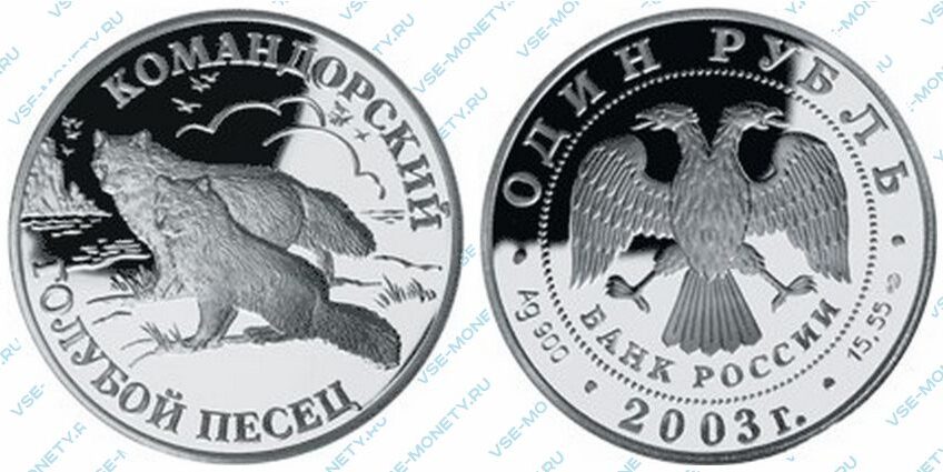 Юбилейная серебряная монета 1 рубль 2003 года «Командорский голубой песец» серии «Красная книга»