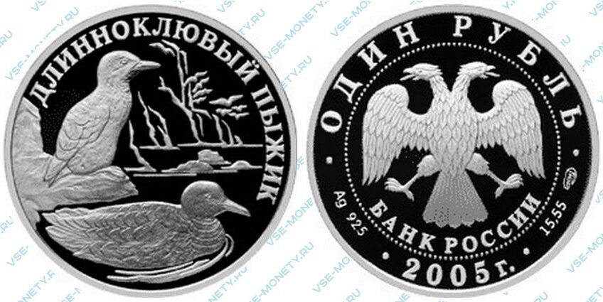 Юбилейная серебряная монета 1 рубль 2005 года «Длинноклювый пыжик» серии «Красная книга»