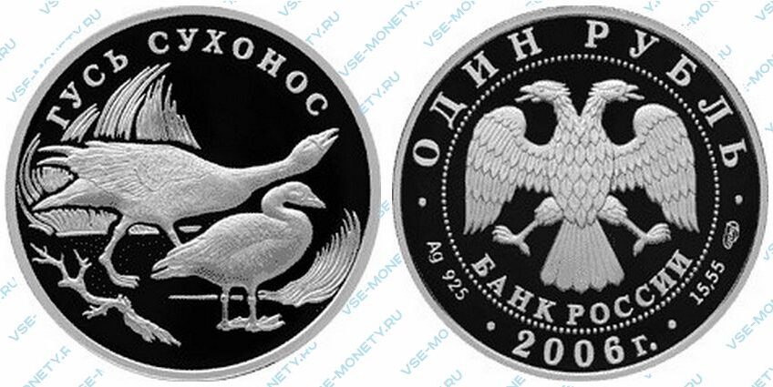 Юбилейная серебряная монета 1 рубль 2006 года «Гусь сухонос» серии «Красная книга»