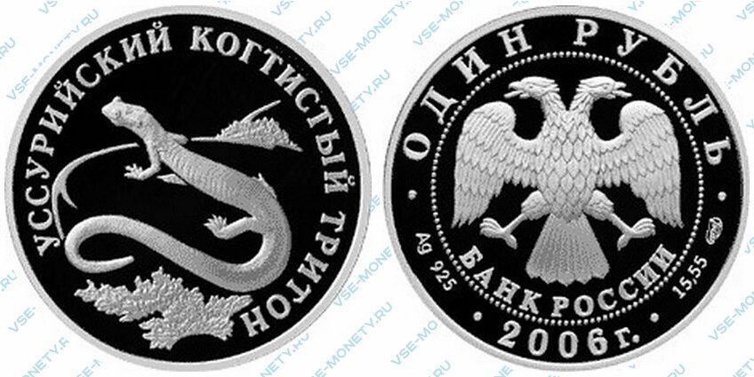 Юбилейная серебряная монета 1 рубль 2006 года «Уссурийский когтистый тритон» серии «Красная книга»