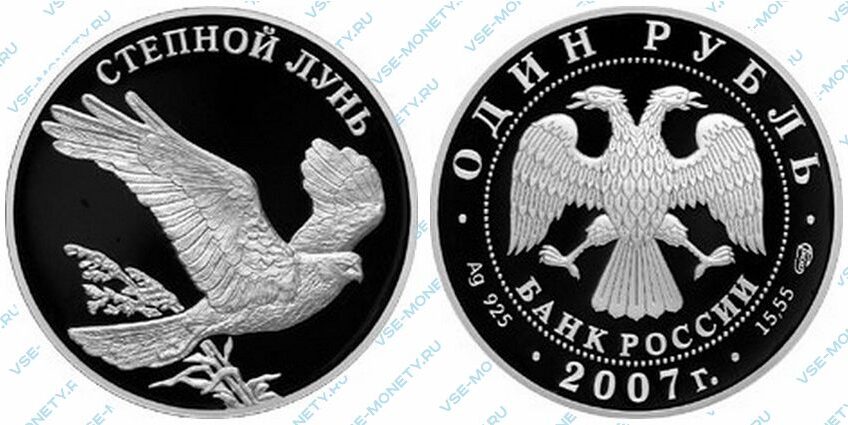 Юбилейная серебряная монета 1 рубль 2007 года «Степной лунь» серии «Красная книга»