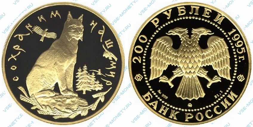 Памятная золотая монета 200 рублей 1995 года «Рысь» серии «Сохраним наш мир»