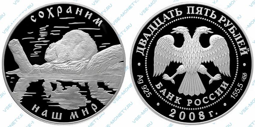 Юбилейная серебряная монета 25 рублей 2008 года «Речной бобр» серии «Сохраним наш мир»