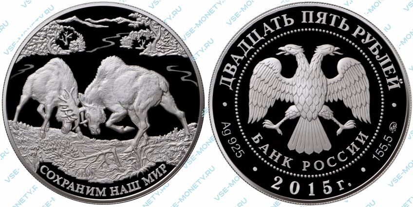 Юбилейная серебряная монета 25 рублей 2015 года «Лось» серии «Сохраним наш мир»