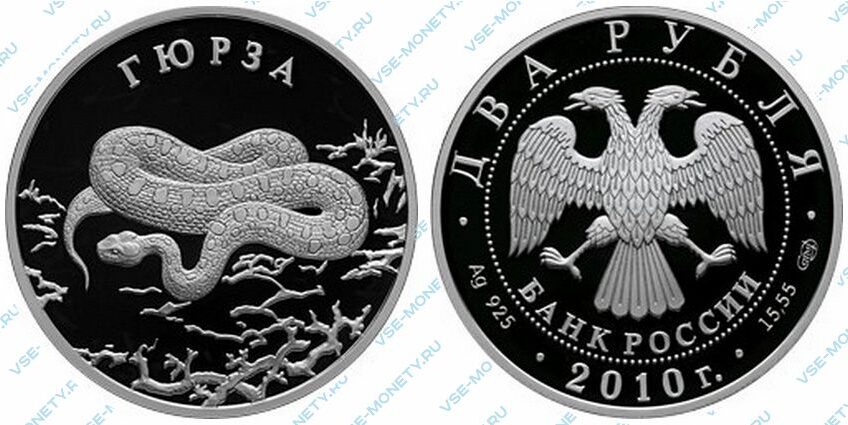 Юбилейная серебряная монета 2 рубля 2010 года «Гюрза» серии «Красная книга»