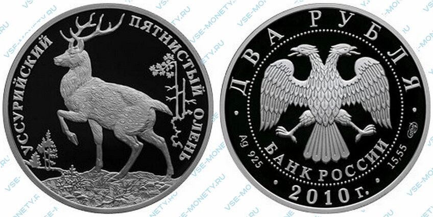 Юбилейная серебряная монета 2 рубля 2010 года «Уссурийский пятнистый олень» серии «Красная книга»