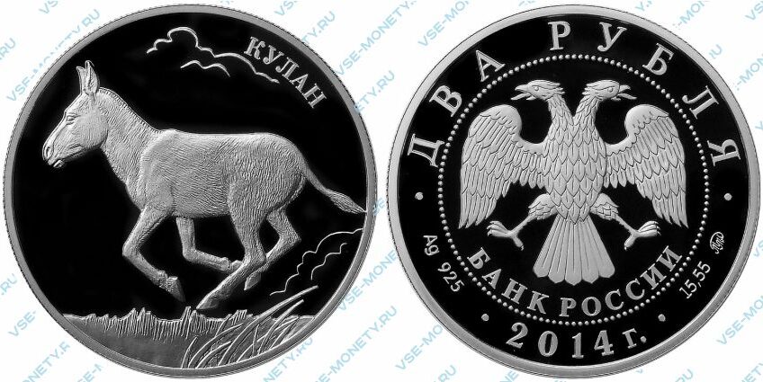 Памятная серебряная монета 2 рубля 2014 года «Кулан» серии «Красная книга»