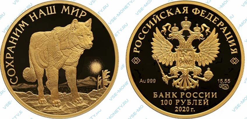 Юбилейная золотая монета 100 рублей 2020 года «Полярный волк» серии «Сохраним наш мир»