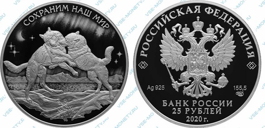 Юбилейная серебряная монета 25 рублей 2020 года «Полярный волк» серии «Сохраним наш мир»
