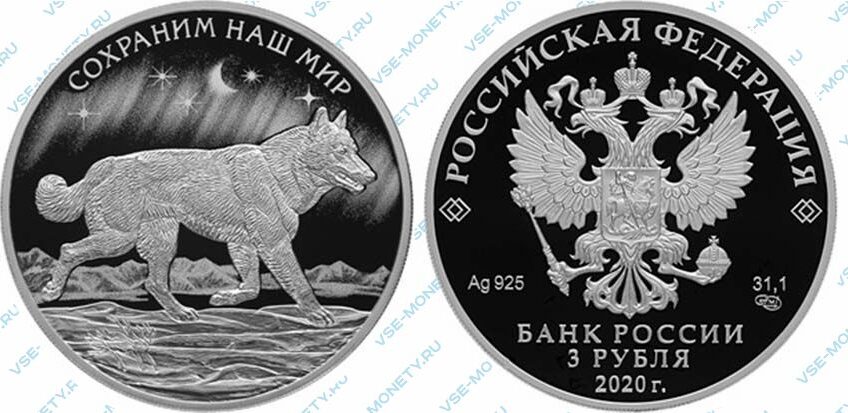 Юбилейная серебряная монета 3 рубля 2020 года «Полярный волк» серии «Сохраним наш мир»