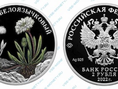 Юбилейная серебряная монета 2 рубля 2022 года «Одуванчик белоязычковый» серии «Красная книга»