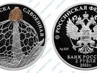 Юбилейная серебряная монета 2 рубля 2022 года «Сетконоска сдвоенная» серии «Красная книга»
