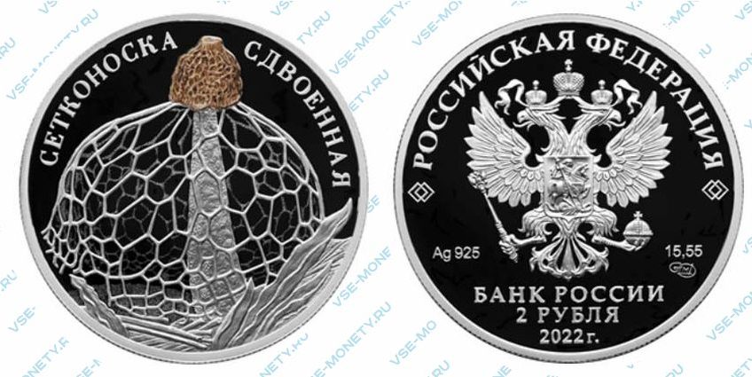 Юбилейная серебряная монета 2 рубля 2022 года «Сетконоска сдвоенная» серии «Красная книга»