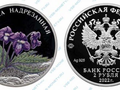 Юбилейная серебряная монета 2 рубля 2022 года «Фиалка надрезанная» серии «Красная книга»
