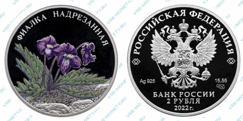 Юбилейная серебряная монета 2 рубля 2022 года «Фиалка надрезанная» серии «Красная книга»