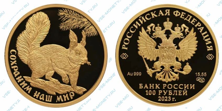 Юбилейная золотая монета 100 рублей 2023 года «Белка обыкновенная» серии «Сохраним наш мир»
