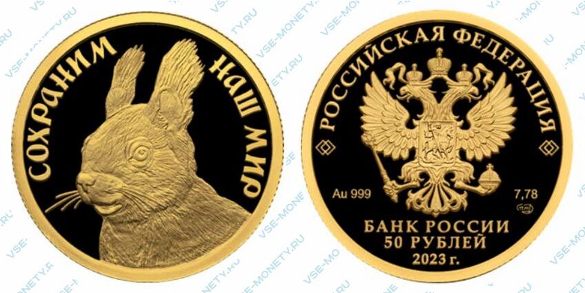 Золотая юбилейная монета 50 рублей 2023 года «Белка обыкновенная» серии «Сохраним наш мир»